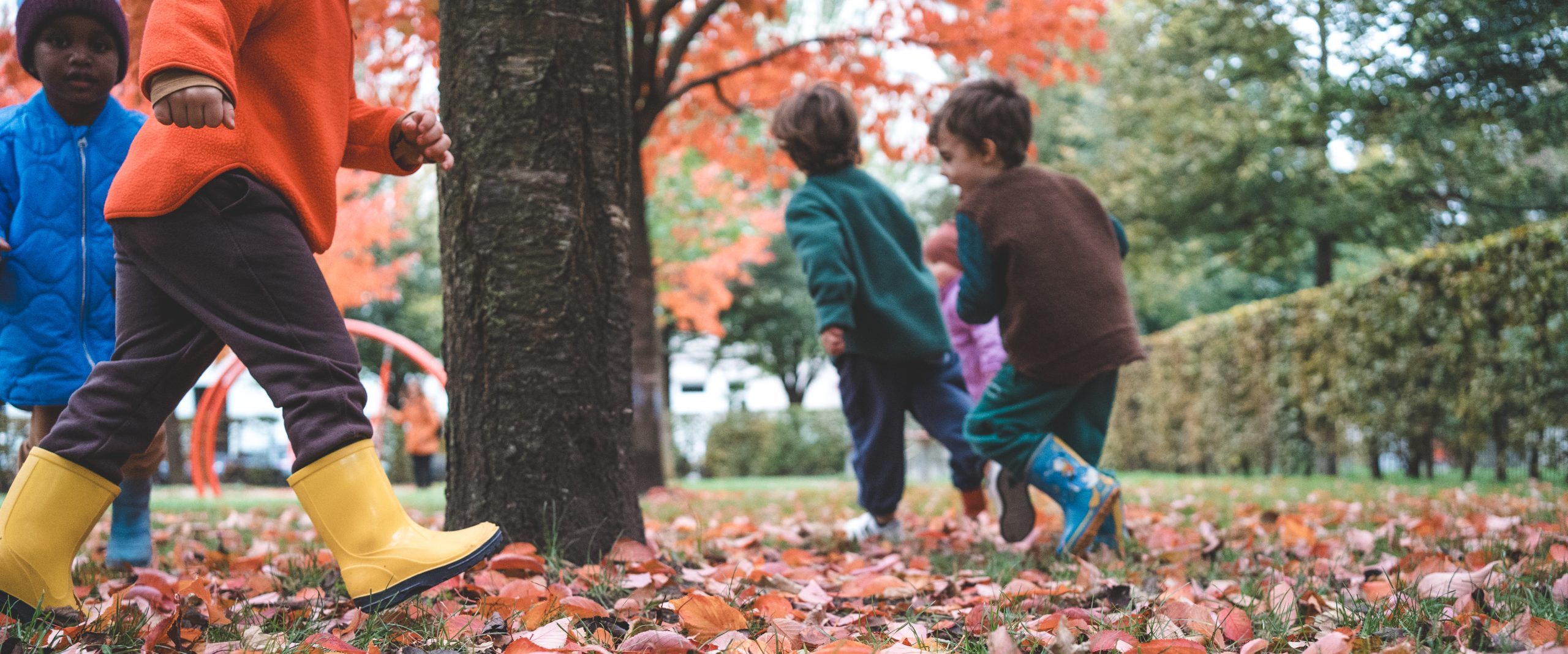 Kinder laufen im Herbst &uuml;ber buntes Laub zwischen B&auml;umen